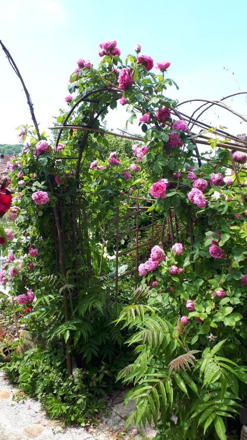 Le Jardin Des Merveilles Saint-Pierre-d'Autils Exteriér fotografie